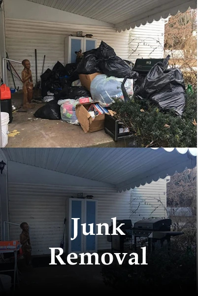 JUNK REMOVAL